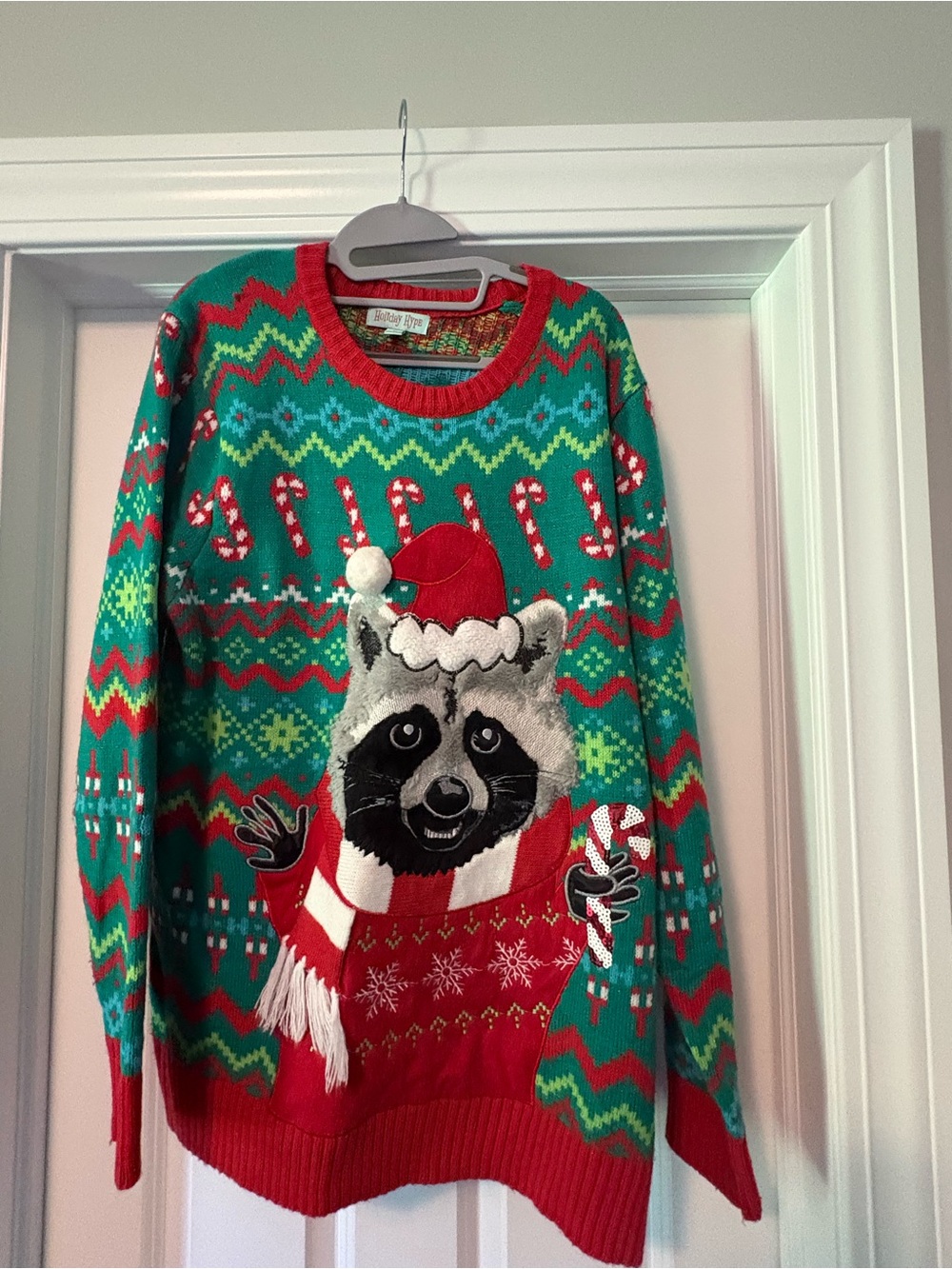 Holiday Raccoon Crewneck Sweater - Green & Red